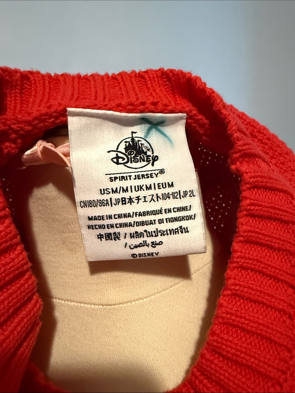Disneyland Spirit Jersey - Picture 6 of 7
